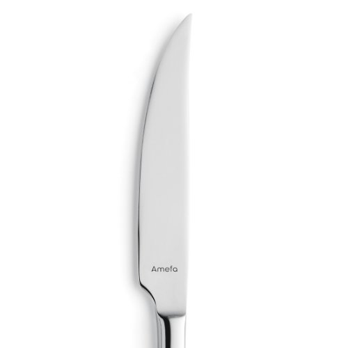 Amefa OXFORD Steakmesser Vollheft für präzises Schneiden von Fleisch