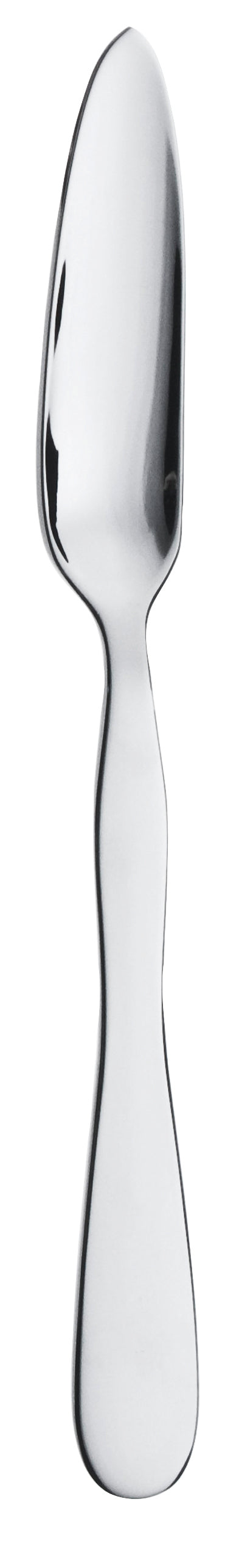 Picard & Wielpütz ANTARIS Fischmesser 6197 für präzises Schneiden von Fisch