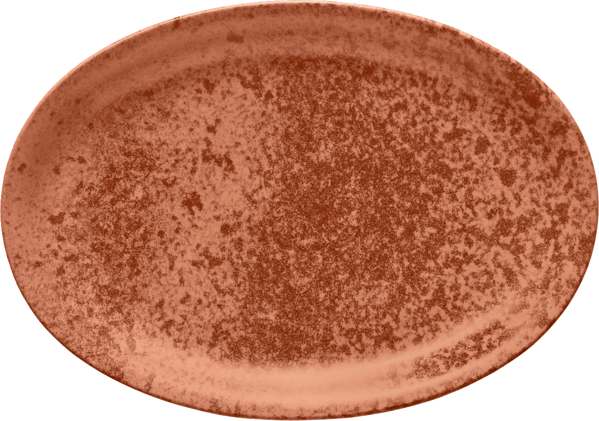 BHS tabletop AG oval Porzellanplatte 32x23cm für Gastronomie