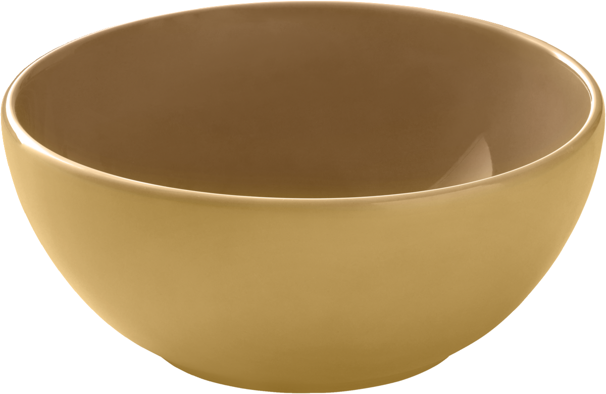 BHS tabletop AG Schüssel rund 20cm aus Porzellan für Gastronomie
