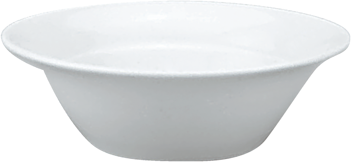 BHS tabletop AG Schüssel rund 16cm aus Porzellan für Gastronomie