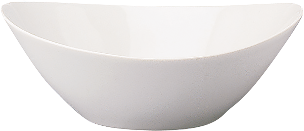 BHS tabletop AG Schüssel oval 24x19cm aus Porzellan für die Gastronomie