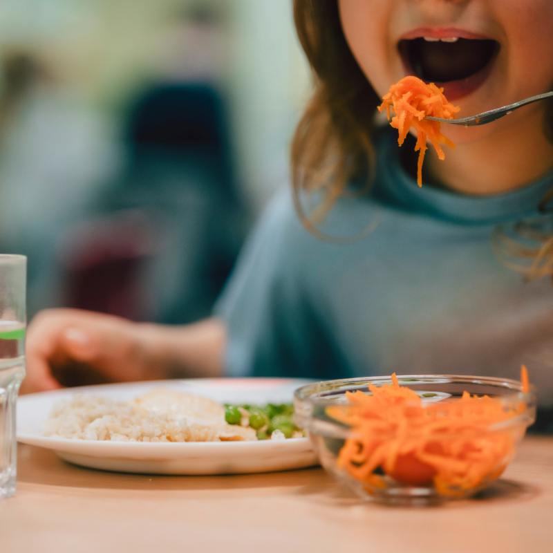 Kita & Schulen – professionelle Küchen- und Verpflegungsausstattung