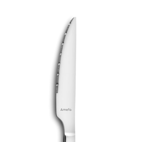 Amefa CARACTÈRE Steakmesser Vollheft - Professionelles Steakmesser für die Gastronomie