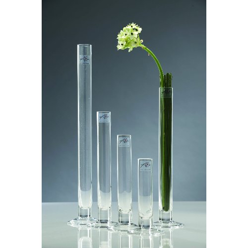 Sandra Rich Vase Solifleur aus Glas, Höhe 20 cm, Durchmesser 3 cm, ideal für Tischdekoration