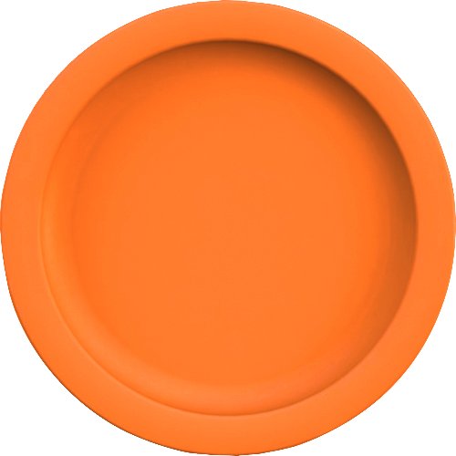 Waca Teller flach Colour Ø24,1cm aus PBT für Schulen und Kindergärten