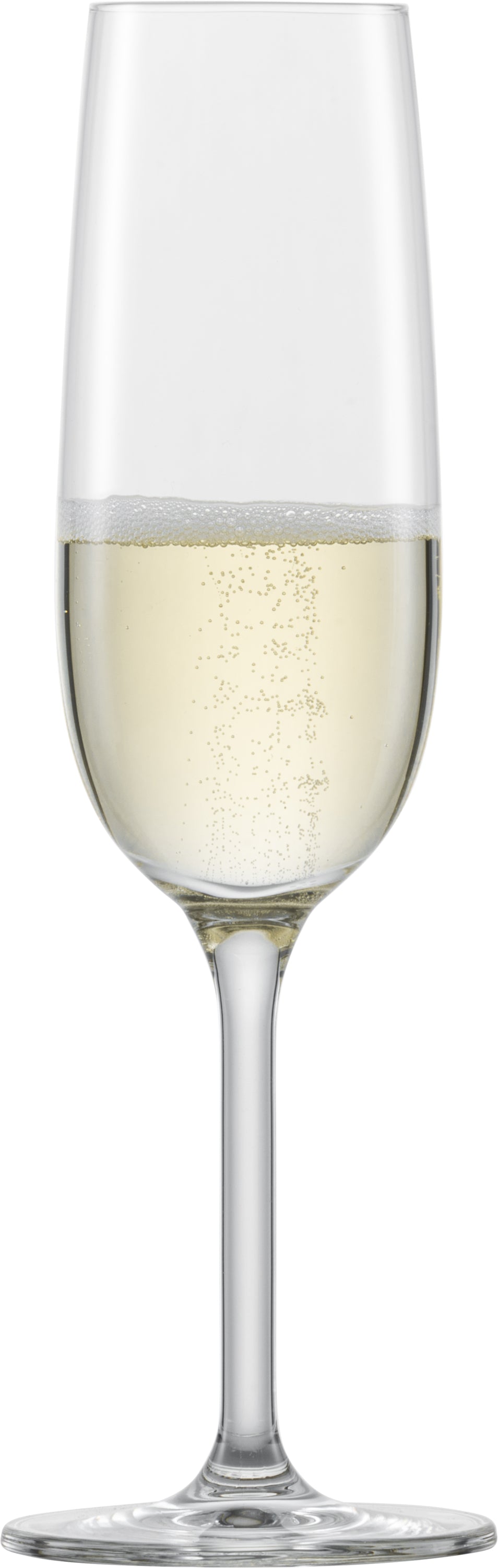 Schott Zwiesel Sektglas Banquet - 6er Set für die Gastronomie