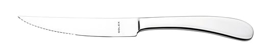 solex GERMANY Steakmesser Monoblock 240 mm für präzises Schneiden von Steaks