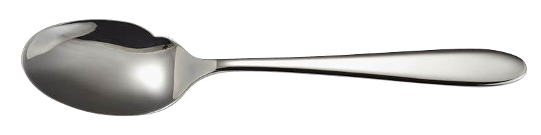 solex GERMANY Gourmetlöffel 180 mm für stilvolle Speisenpräsentation