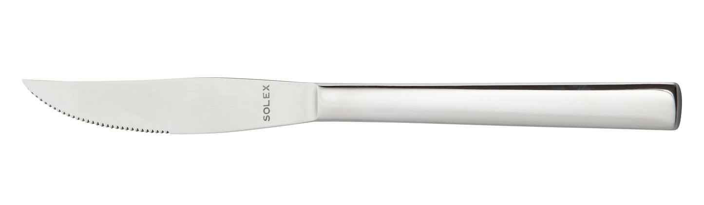 solex GERMANY Steakmesser Monoblock 242 mm - Hochwertiges Besteck für Steak und Fleisch