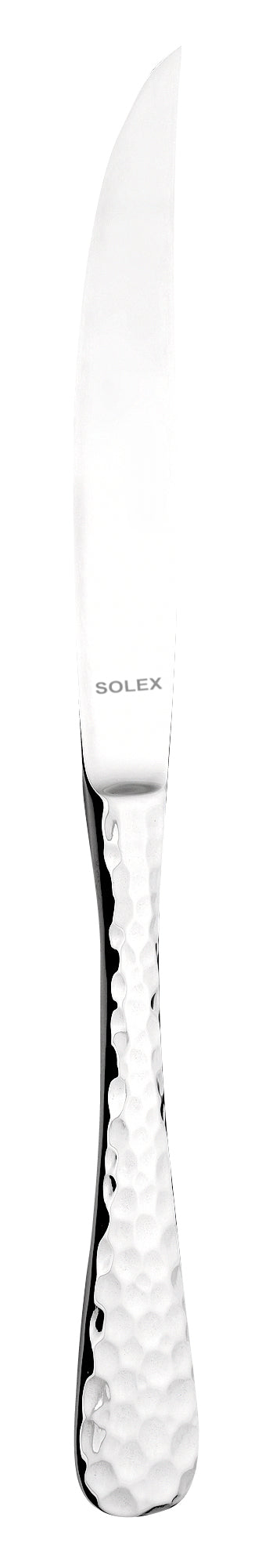 solex GERMANY Steakmesser Monoblock 235 mm für den Einsatz in der Gastronomie