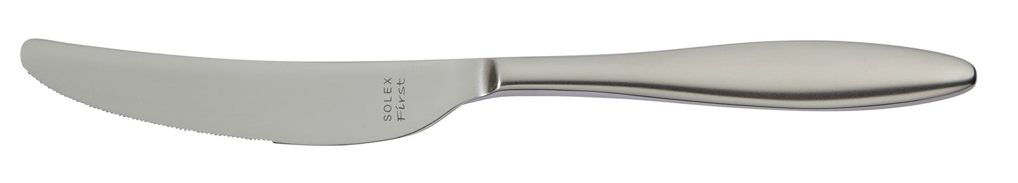 solex GERMANY Menümesser Monoblock 240 mm für Hauptgänge in der Gastronomie
