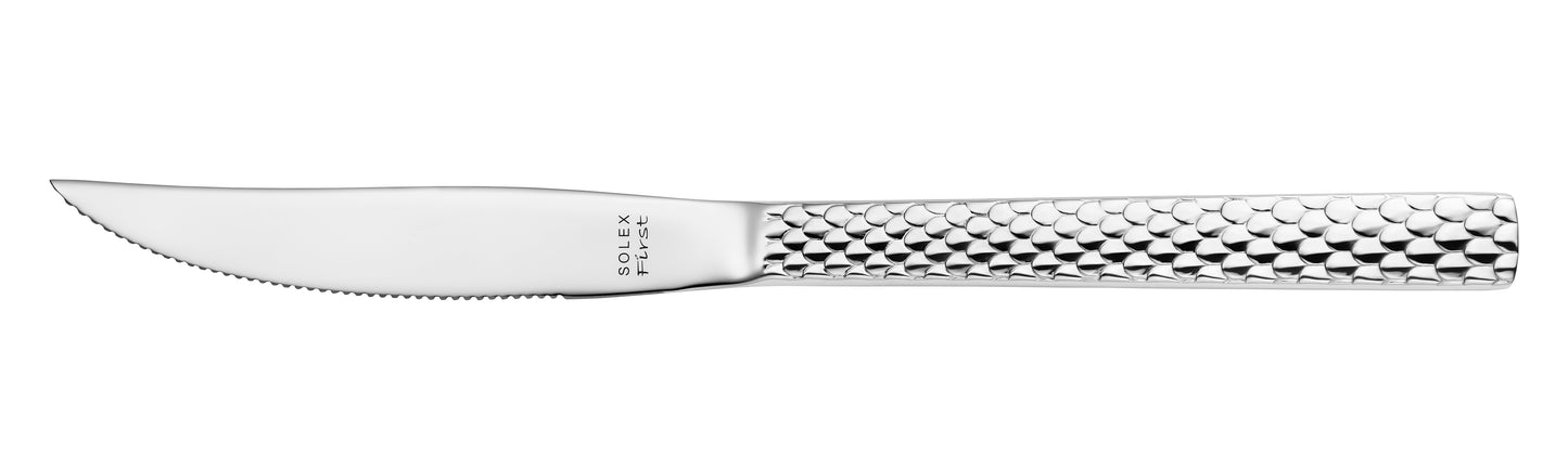 solex GERMANY Steakmesser Vollheft 242 mm - für präzises Schneiden von Fleisch