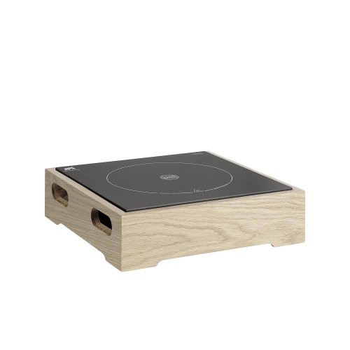 APS Induktionsstation 2-tlg. Set für effizientes Kochen in der Gastronomie