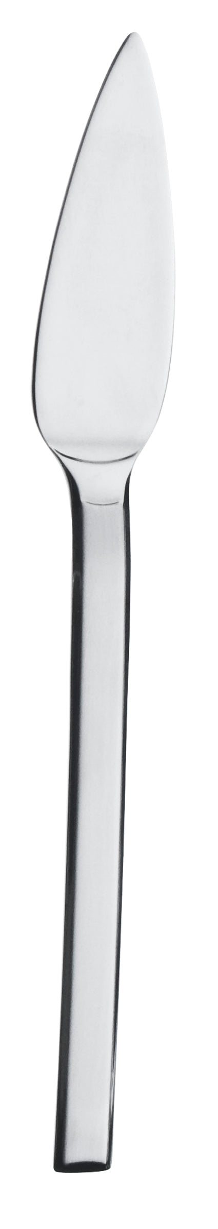 Picard & Wielpütz VILLAGO Fischmesser 6153 für professionelle Küchen