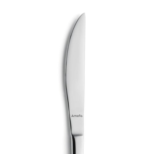 Amefa ATLANTIC Steakmesser Vollheft - Hochwertiges Steakmesser für Gastronomie