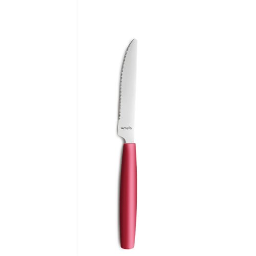 Amefa PIXEL Menümesser Vollheft - Edelstahl mit Kunststoffgriff für Gastronomie