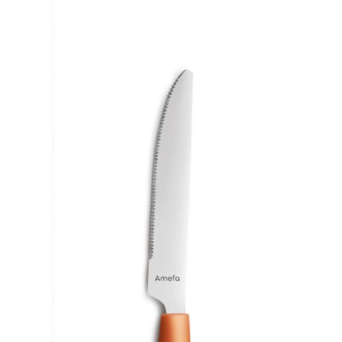 Amefa PIXEL Menümesser Vollheft für Gastronomie