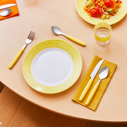 Amefa PIXEL Menülöffel aus Edelstahl mit Kunststoffgriff für den Einsatz in der Gastronomie