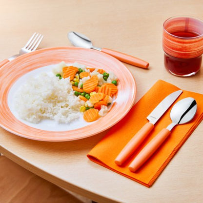 Amefa PIXEL Kaffeelöffel aus Edelstahl mit Kunststoffgriff für Gastronomie