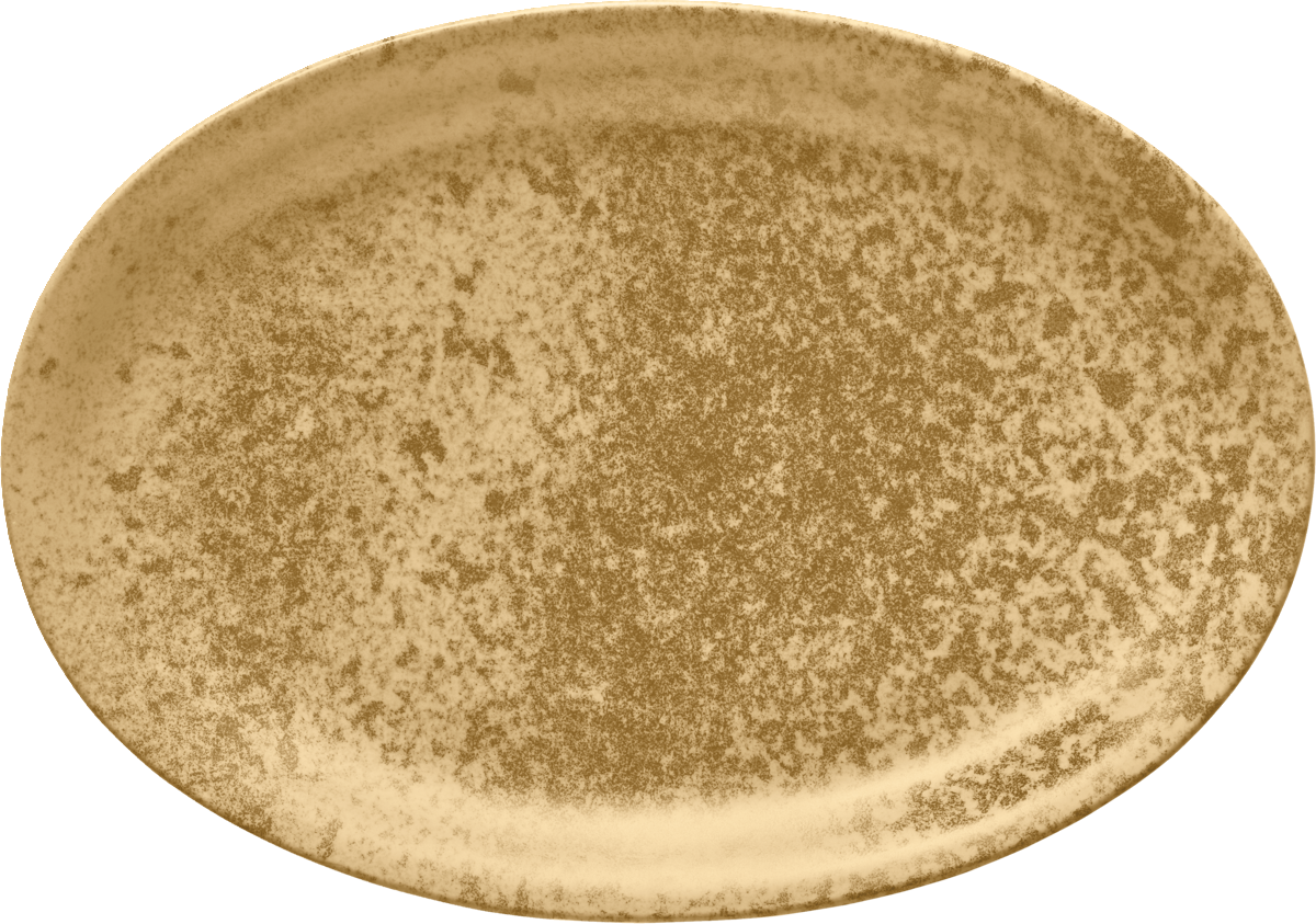 BHS tabletop AG Porzellanplatte oval 32x23cm für die Gastronomie