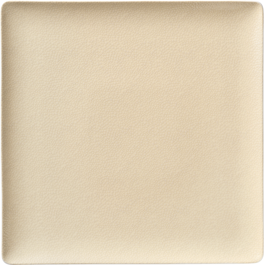 BHS tabletop AG Teller flach quadratisch coup 27x27cm für die ansprechende Präsentation von Speisen.