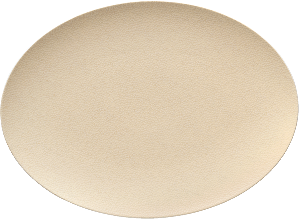 BHS tabletop AG ovale Platte aus Noble China für das Servieren von Speisen
