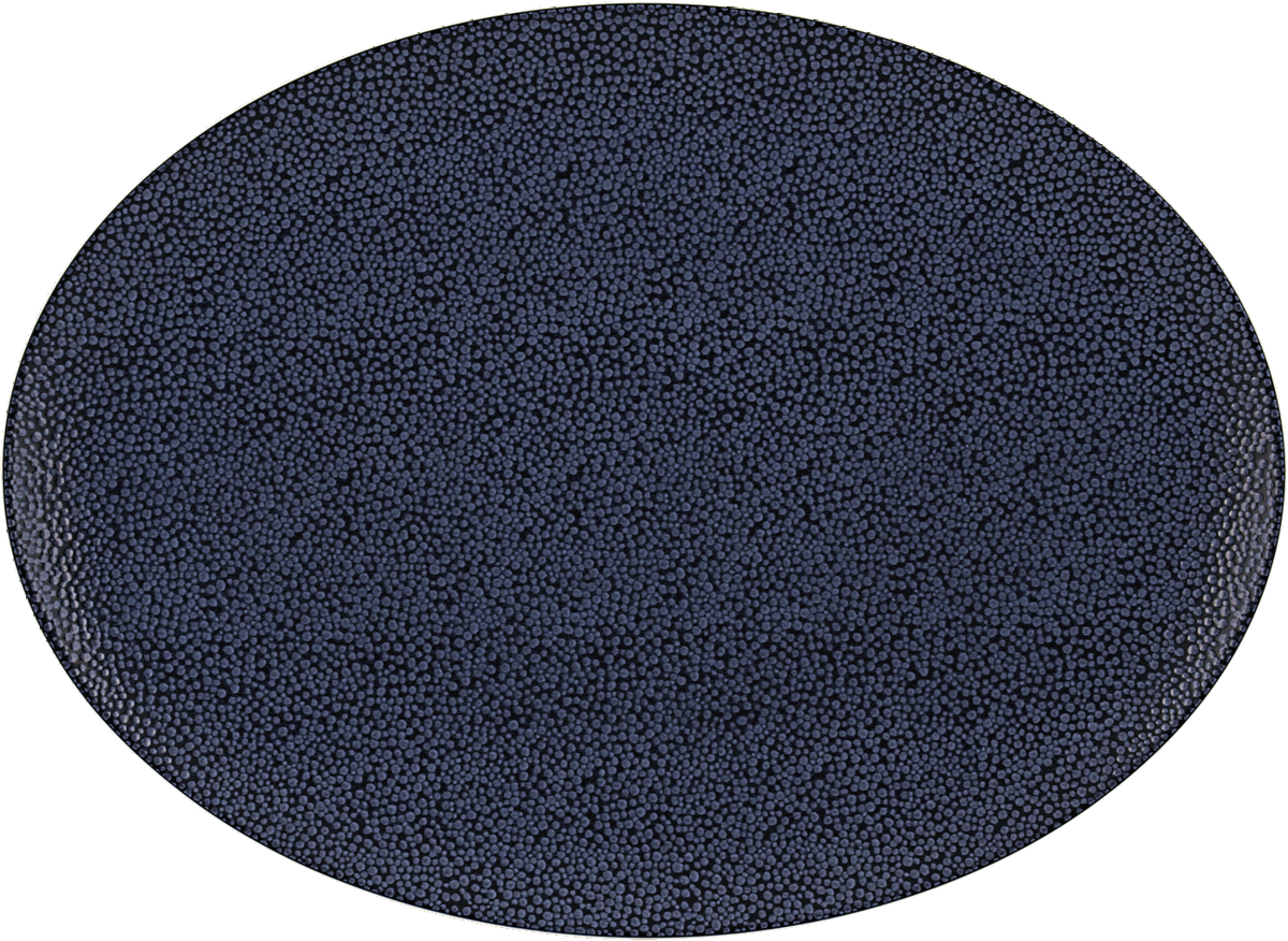 BHS tabletop AG oval Platten aus Noble China für die Gastronomie