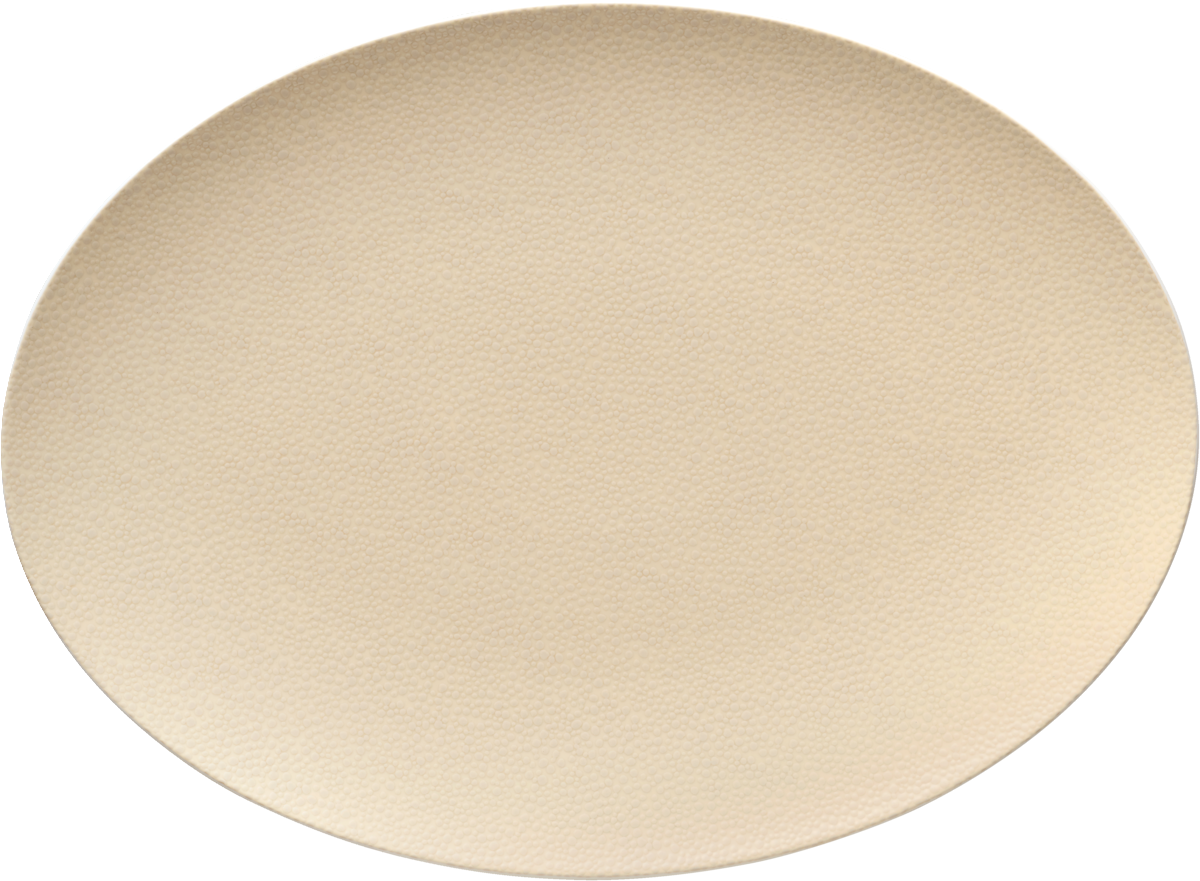 BHS tabletop AG ovale Platte aus Noble China für das Servieren von Speisen.
