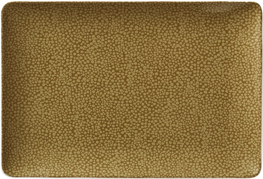BHS tabletop AG rechteckige Platte 34x20cm aus Noble China für die Gastronomie