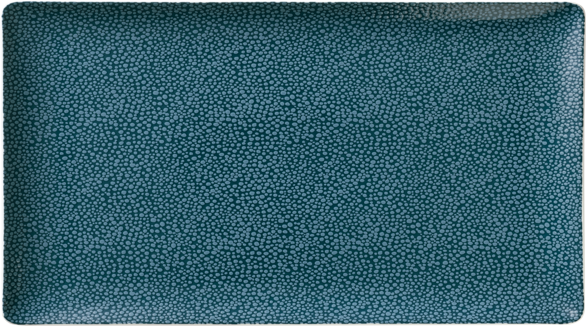 BHS tabletop AG rechteckige Platte 42x20cm aus Noble China für elegante Speisenpräsentation.
