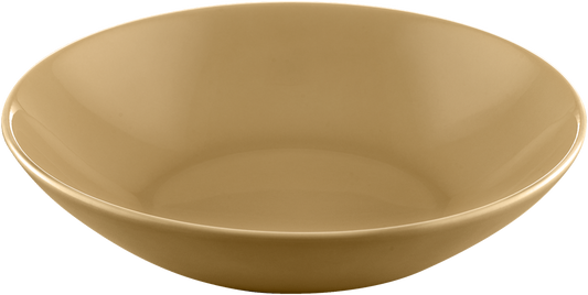 BHS tabletop AG tief runder Teller aus Porzellan für Gastronomie