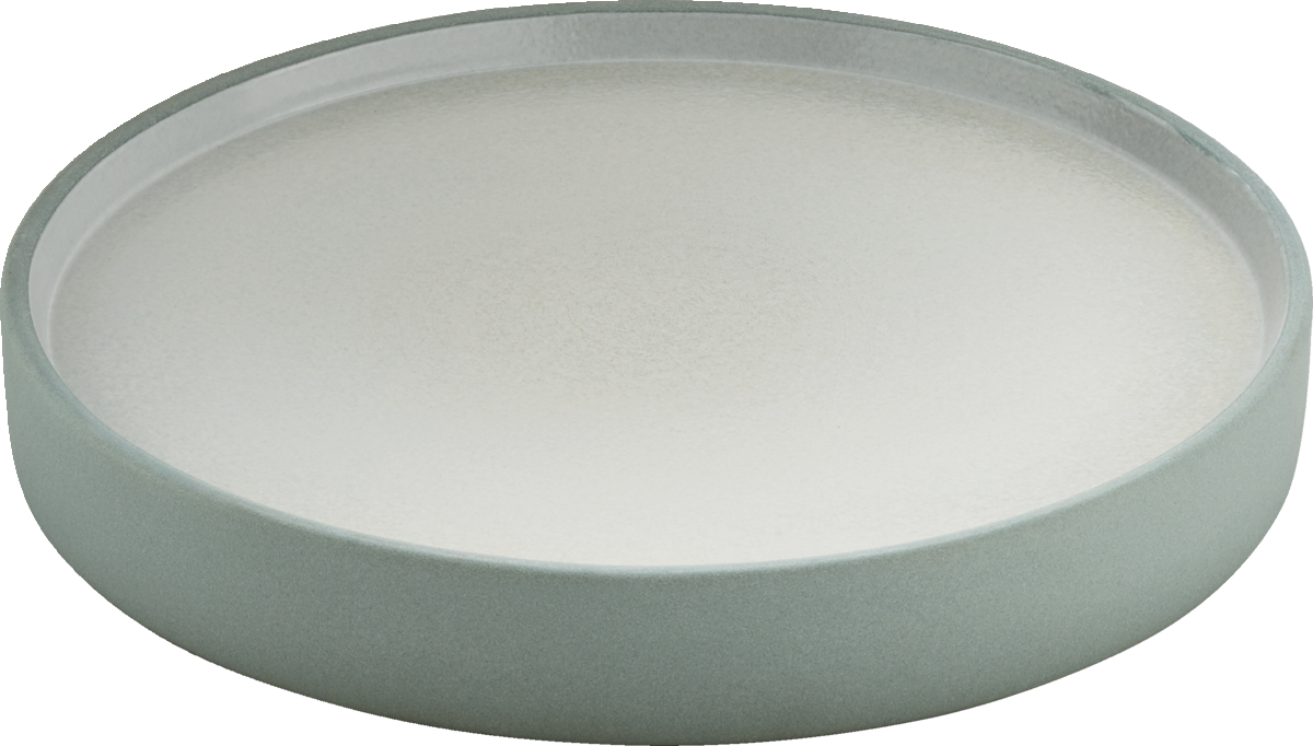 BHS tabletop AG Teller flach/halbtief rund 21cm für die Gastronomie