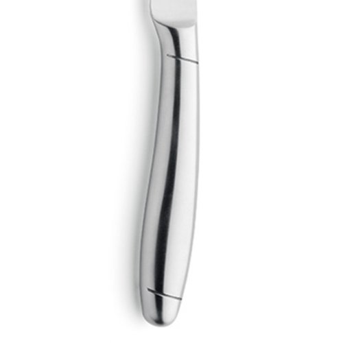 Amefa PRIME RIB Steakmesser Vollheft - Hochwertiges Steakmesser für Gastronomie
