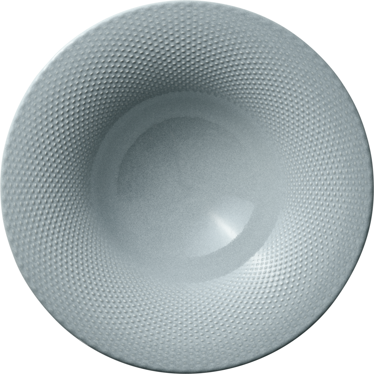 BHS tabletop AG Teller tief rund coup Relief sky 27cm für professionelle Gastronomie