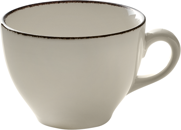 BHS tabletop AG Obertasse indigo 0.22l für Gastronomie