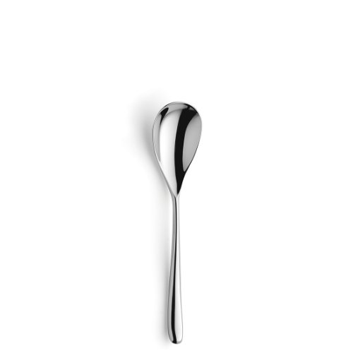 Amefa NEWTON Vorspeisen-/Dessertlöffel aus Edelstahl für Gastronomie
