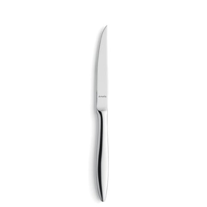 Amefa TENDENCE Steakmesser Vollheft - Hochwertiges Edelstahlmesser für Steak und Fleisch