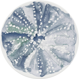Schönwald Teller flach rund coup 17cm - OCEAN BREEZE
