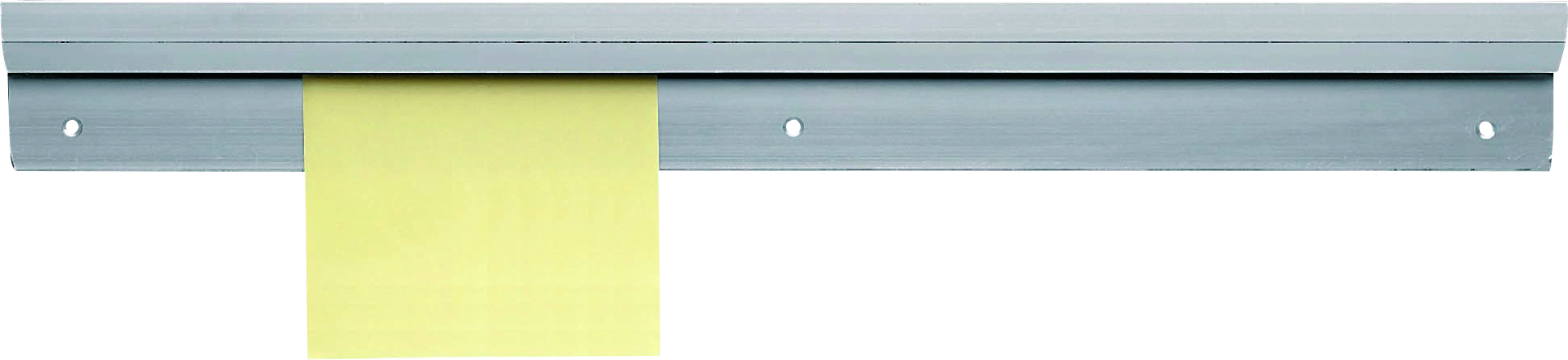 Franz Mensch Catchball-Bonschiene 50 cm aus eloxiertem Aluminium für Buffets