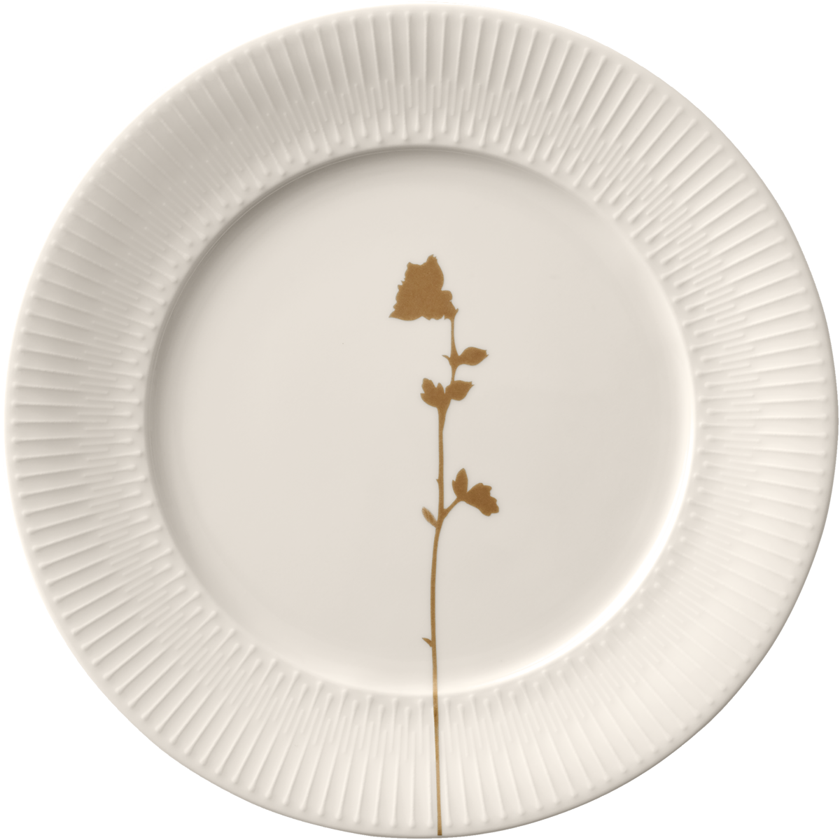 BHS tabletop AG flacher runder Teller 21cm aus Noble China für die Gastronomie