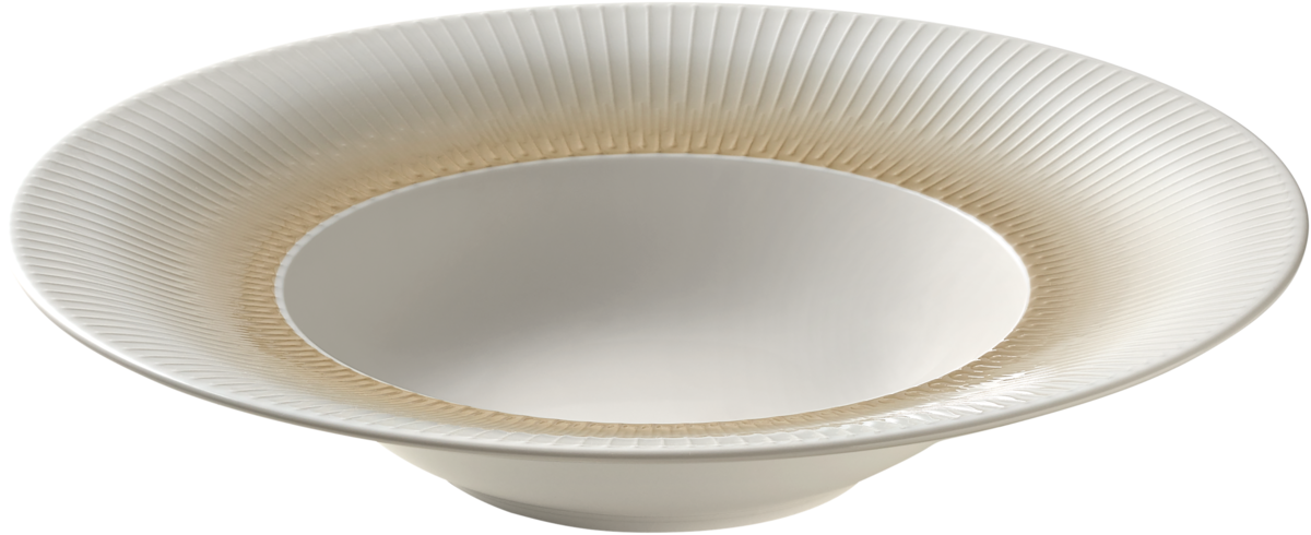 BHS tabletop AG Teller tief rund 28cm aus Noble China für die Gastronomie