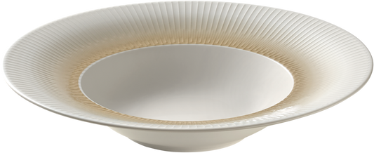 BHS tabletop AG Teller tief rund 28cm aus Noble China für die Gastronomie