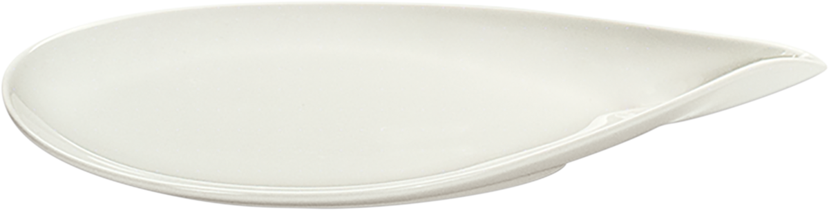BHS tabletop AG Platte Special 19x9cm für elegante Speisenpräsentation in der Gastronomie