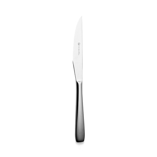 Churchill Cutlery Cooper Steakmesser 24cm für präzises Schneiden von Fleisch