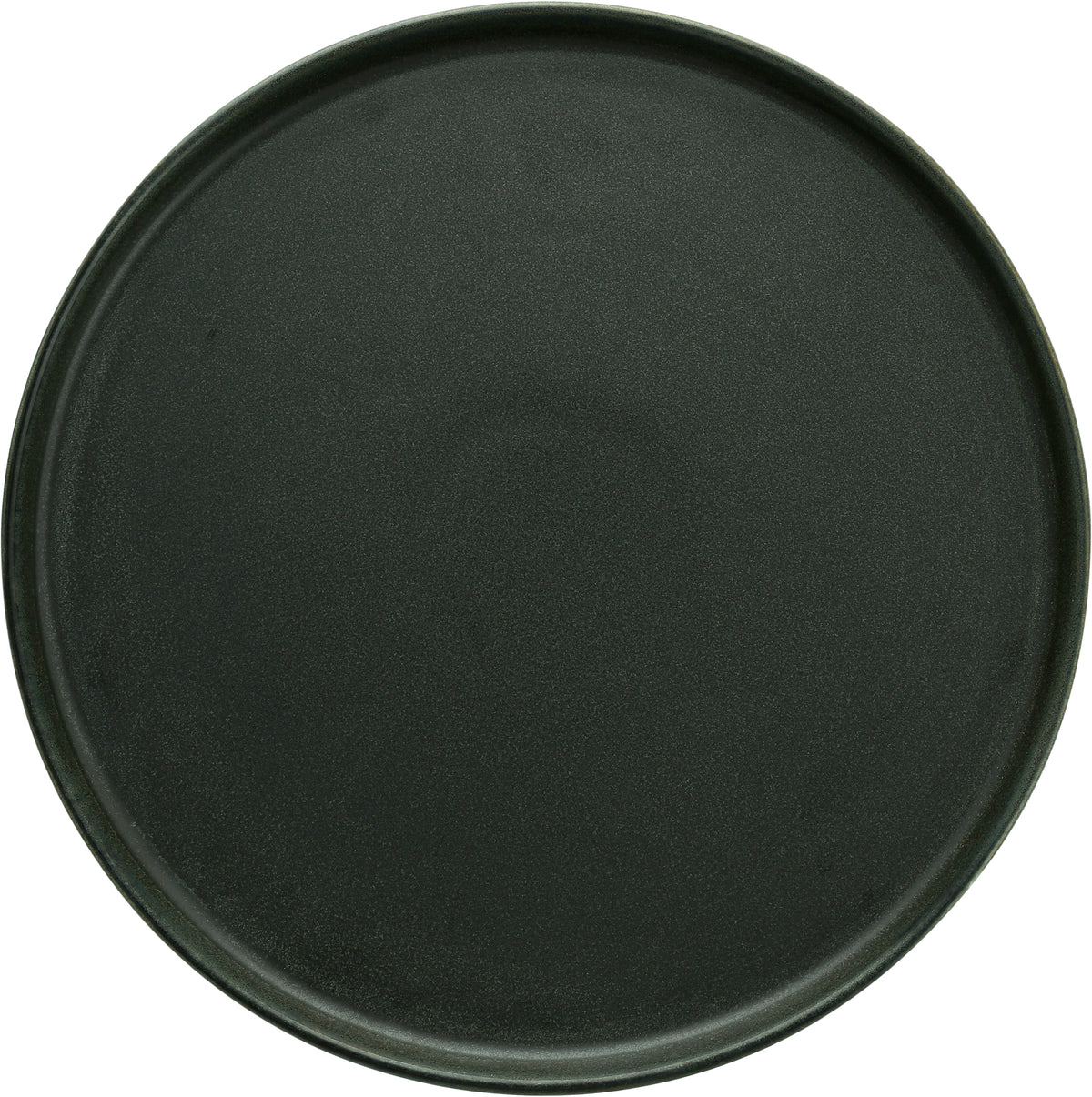 Fortessa Dinnerware SOUND FOREST Teller 27cm - Speiseteller aus Stoneware für Gastronomie