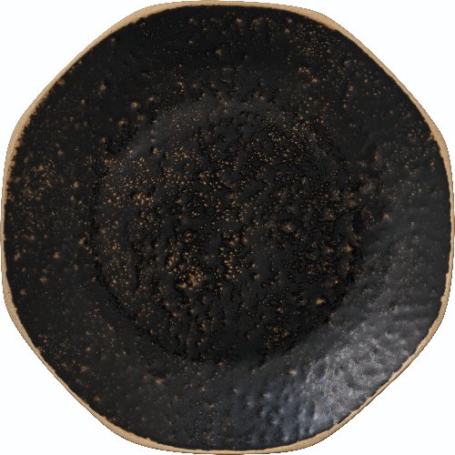 Fortessa Dinnerware TERRA NOVA SOMBRA Teller flach coupe 29cm zur Präsentation von Hauptspeisen