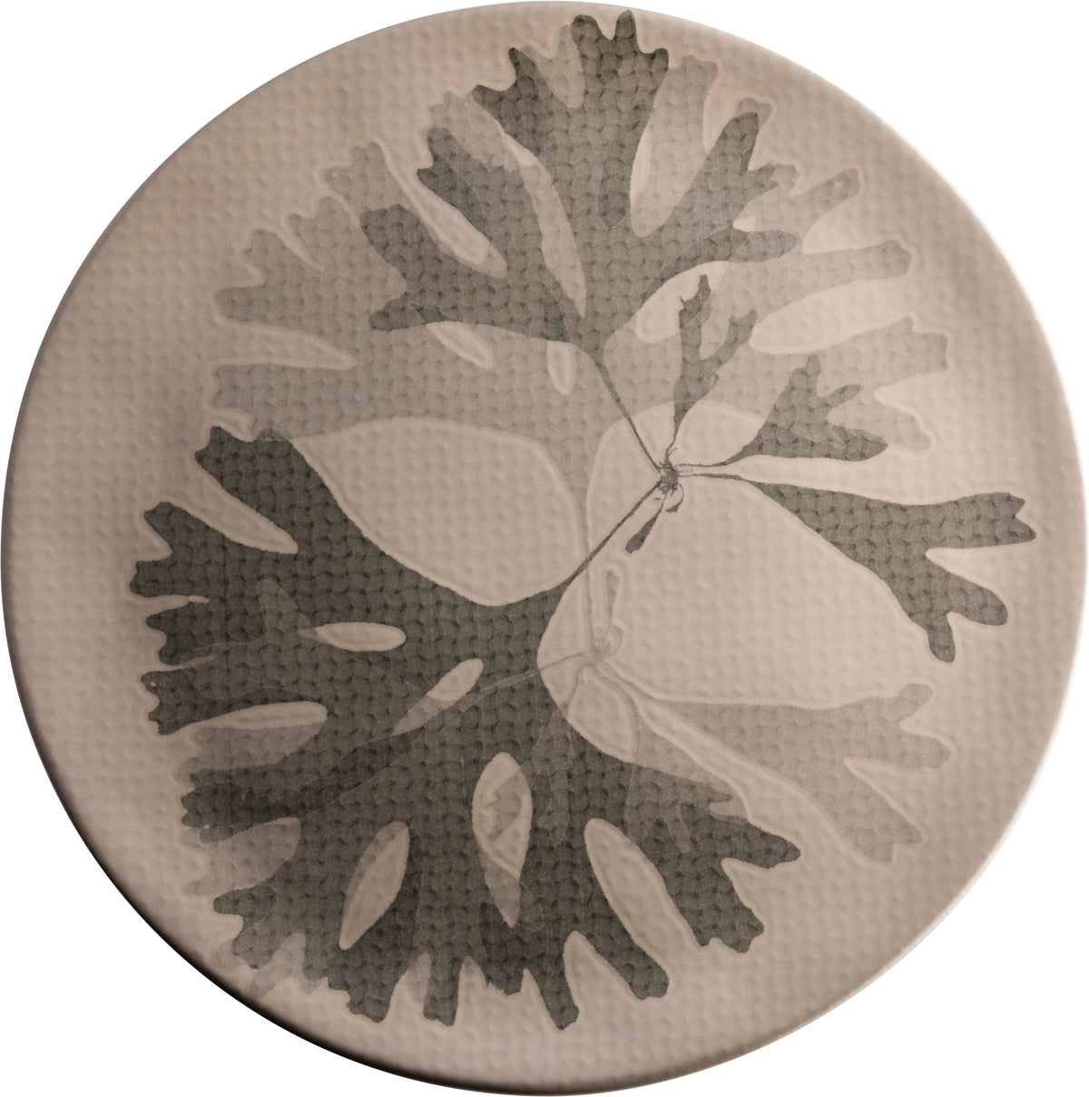 Fortessa Dinnerware CHEF'S PLATE Seaweed Teller flach 31cm taupe für kreative Präsentationen