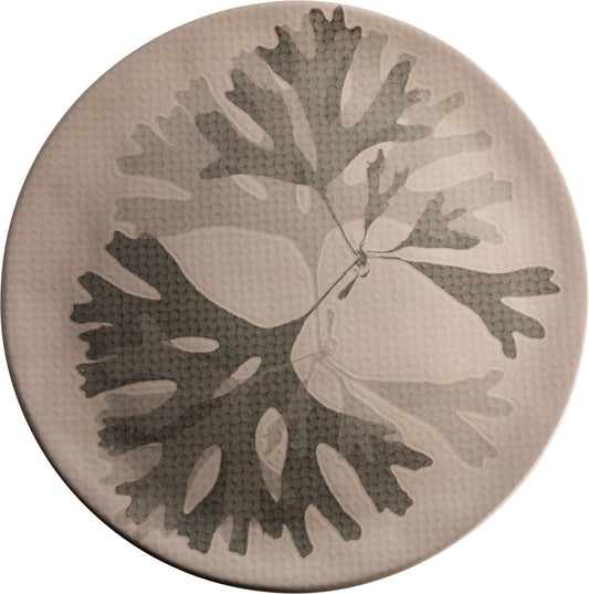 Fortessa Dinnerware CHEF'S PLATE Seaweed Teller flach 31cm taupe für kreative Präsentationen