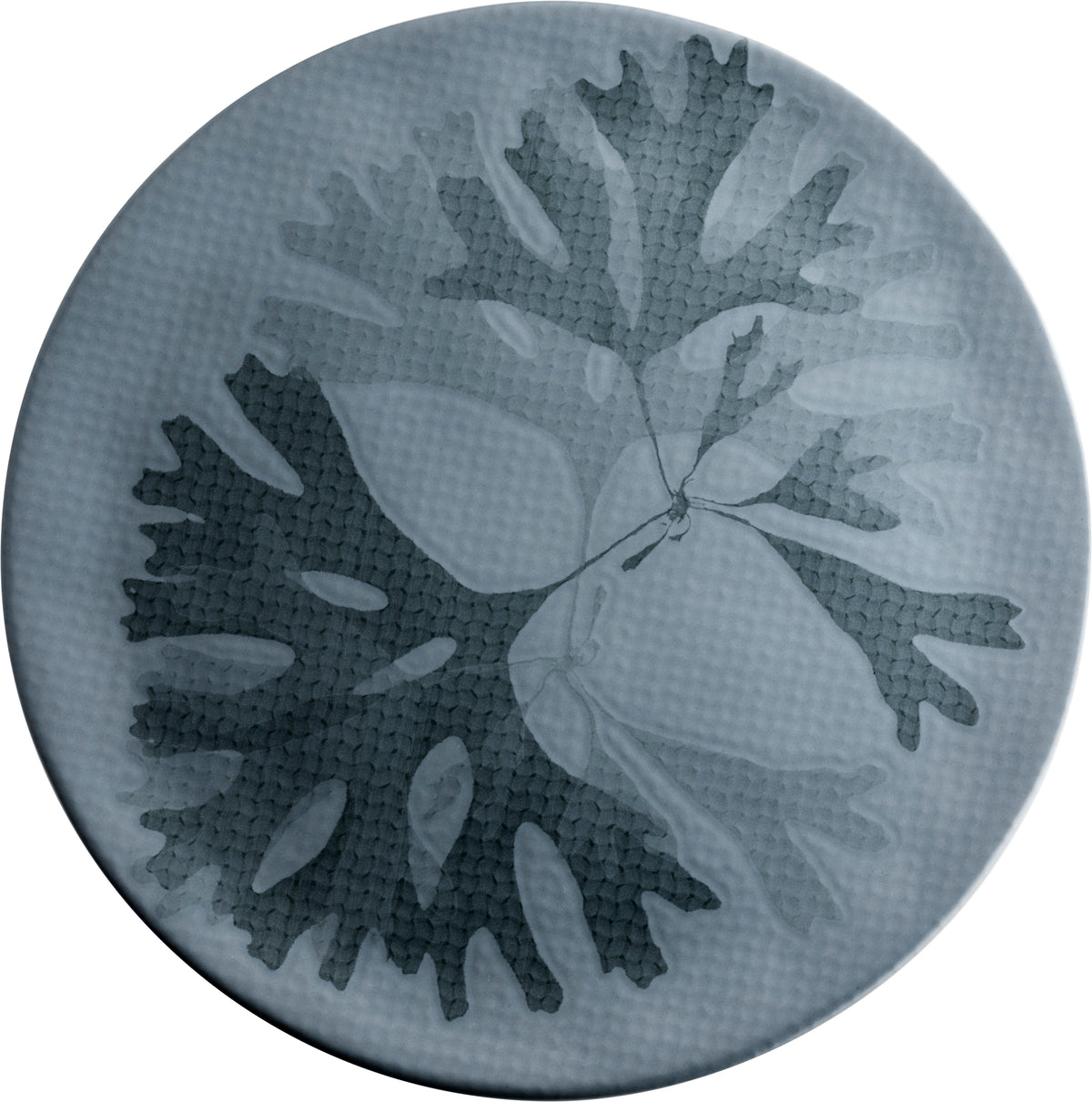 Fortessa CHEF'S PLATE Seaweed Teller 31cm für die Gastronomie